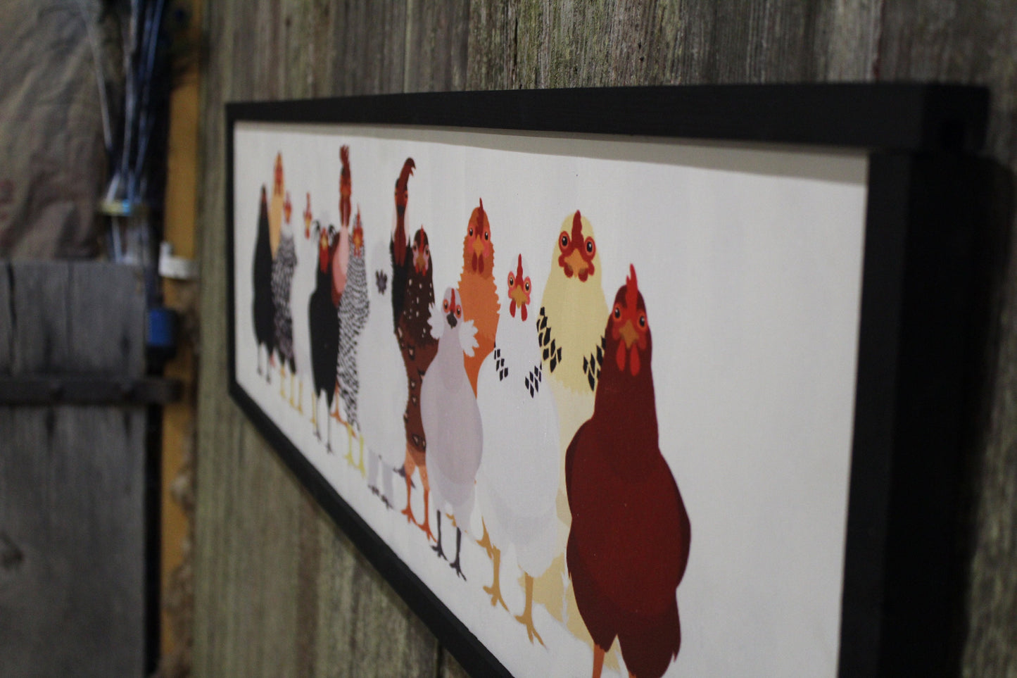 Framed Chicken Sign Large Over Sized Flock Rooster Hen Assorted Breeds Colored Wood Print Silkie Rhode Island Red Wyandotte