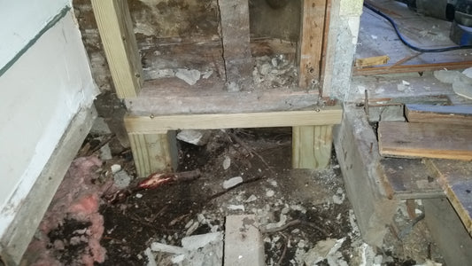 BLOG 5 Beetles, Termites and Dry Rot, OH MY!  (Living Room)