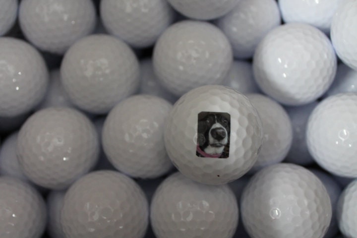 Your Image Logo Golf Ball Set Picture Print Dog Pet Family Giftable Printed Golf Ball Fathers day gift Bulk Whole Sale