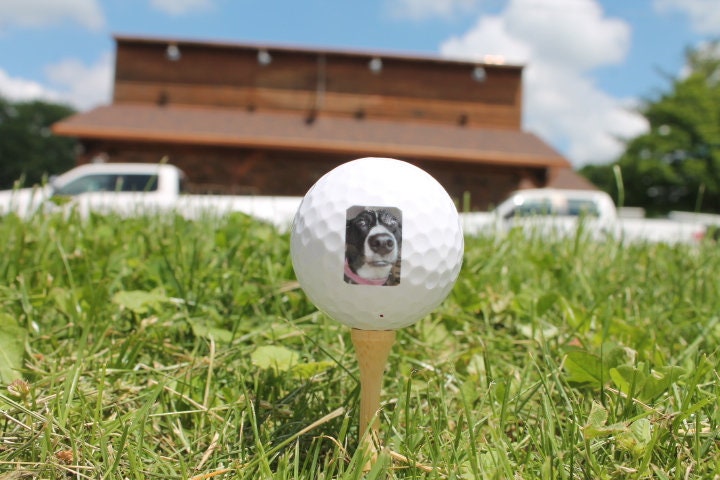 Your Image Logo Golf Ball Set Picture Print Dog Pet Family Giftable Printed Golf Ball Fathers day gift Bulk Whole Sale