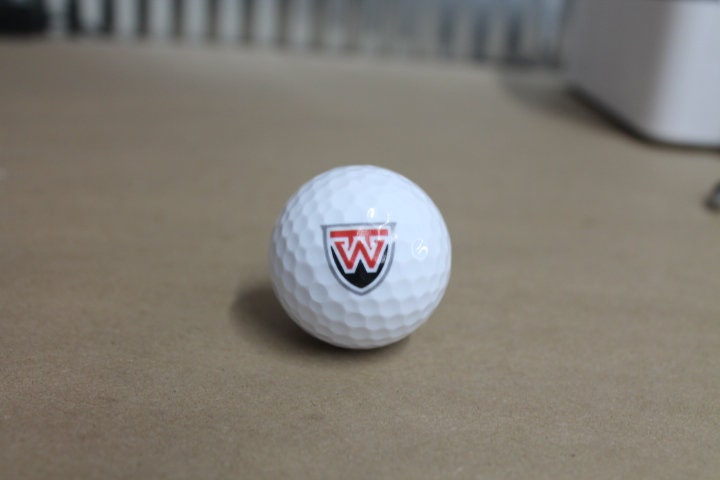 Westfall Mustangs Local School Logo Gift Set Wholesale bulk Custom Golf Balls Golfer Sport Printed Set Bulk Club Clubhouse