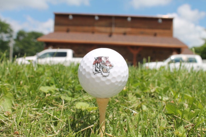 Tigers School Logo Local Circleville Ohio Set Wholesale bulk Custom Golf Balls Golfer Sport Logo Printed Set Bulk Club Clubhouse