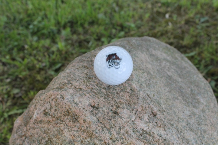 Tigers School Logo Local Circleville Ohio Set Wholesale bulk Custom Golf Balls Golfer Sport Logo Printed Set Bulk Club Clubhouse