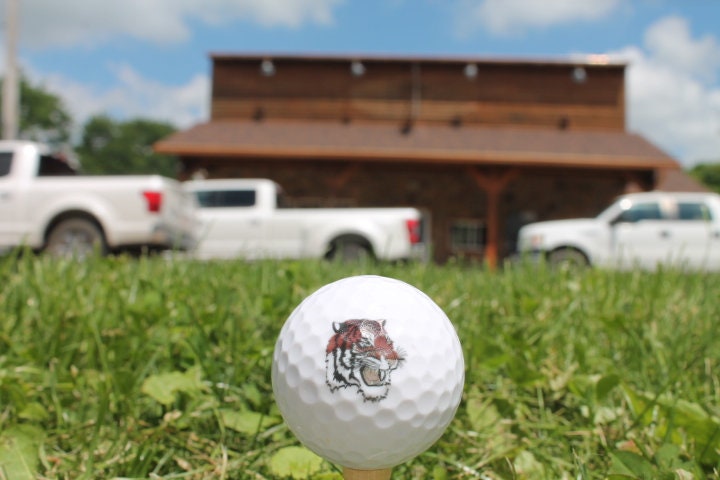 Tigers School Logo Local Circleville Ohio Set Wholesale bulk Custom Golf Balls Golfer Sport Logo Printed Set Bulk Club Clubhouse