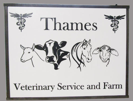 vet clinic sign
