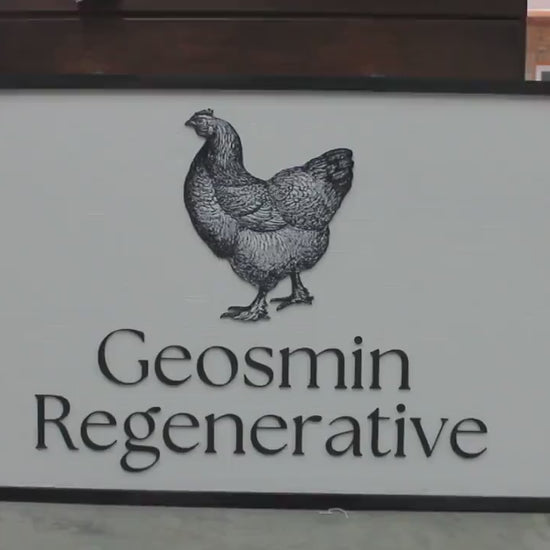 Custom Business Sign Rectangle 3D Large Custom Chicken Hen Family Company Indoor Outdoor Farmer Logo Laser Cut Wood Sign