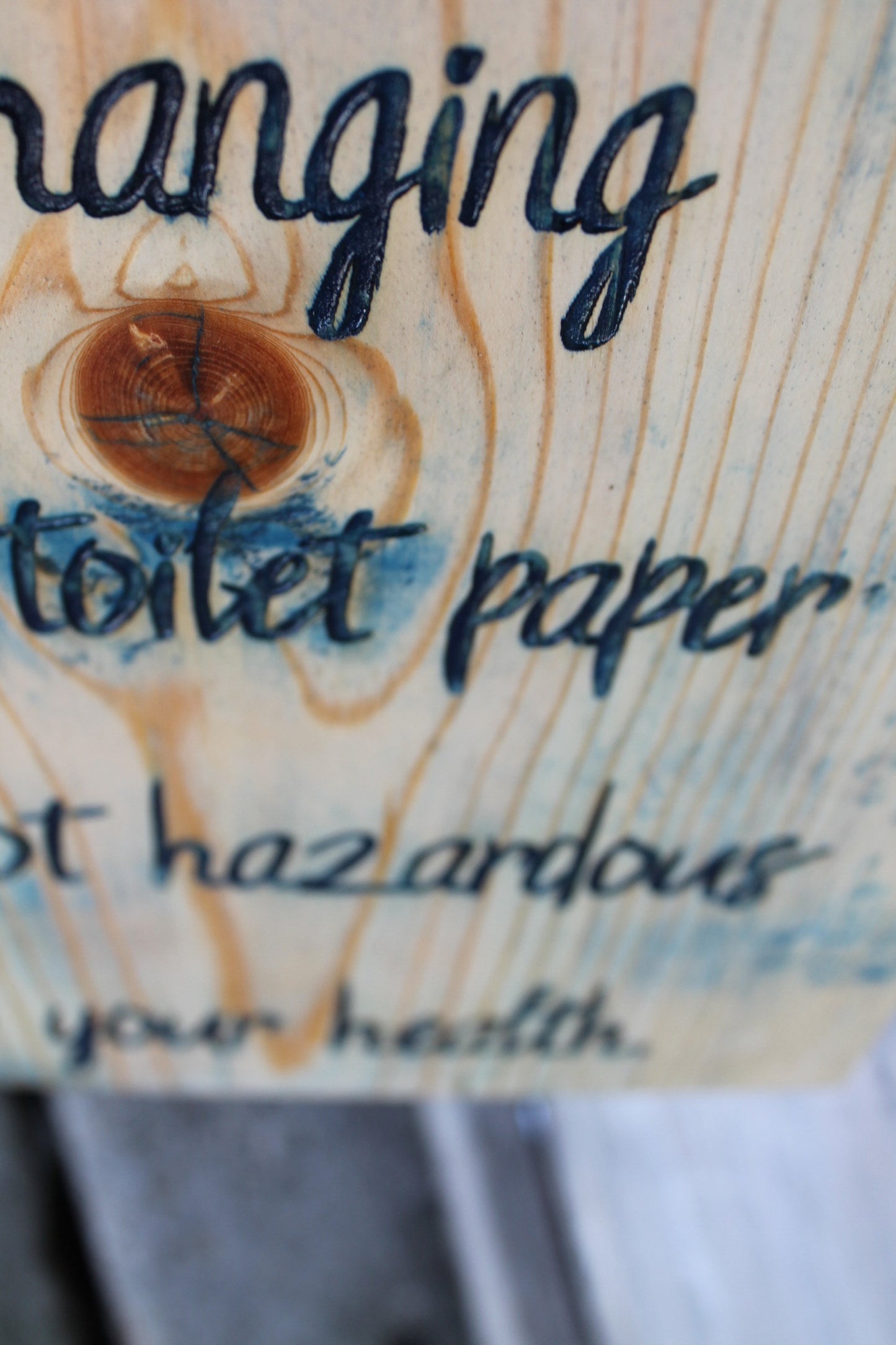 Funny, Bathroom, Sign  Toilet, Changing the Toilet Paper it not Hazardous  to your Health, Engraved, Rustic, Wood, Gross, Joke, Silly