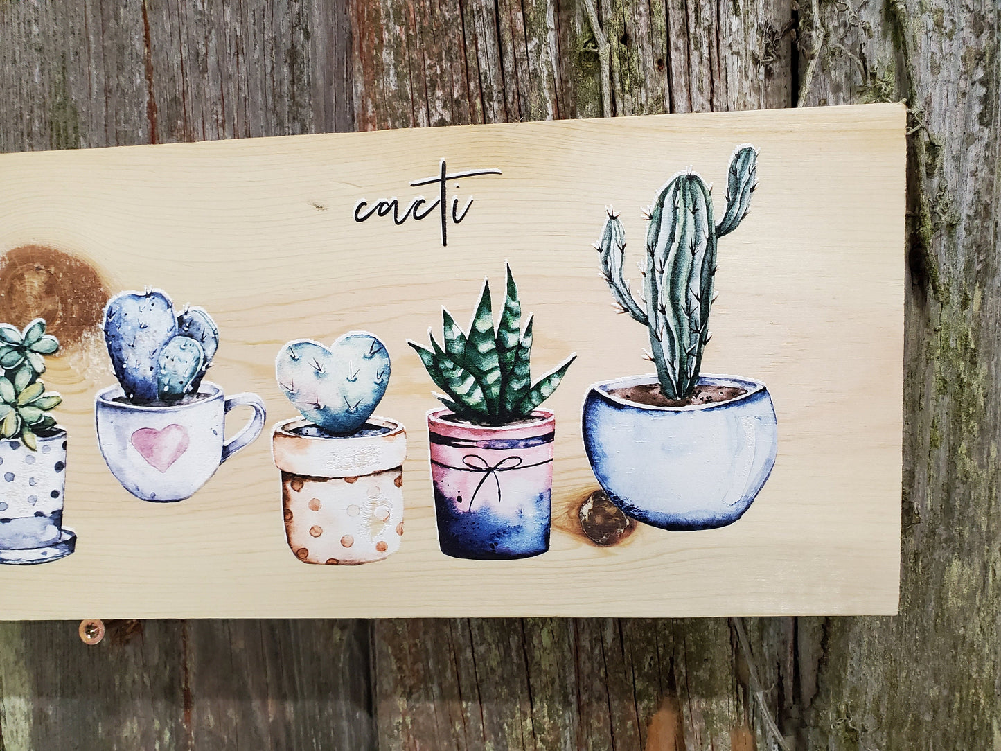 Cactus Wall Decor Cacti Potted Art Plant Decor Western Green Pastel Watercolor Colored Wood Print