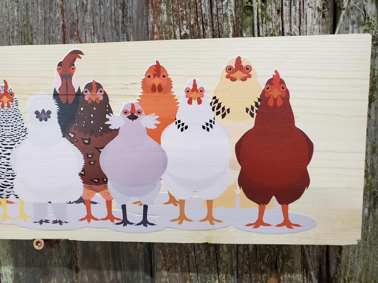 Chicken Sign Flock Rooster Hen Assorted Breeds Colored Wood Print Silkie Rhode Island Red Wyandotte