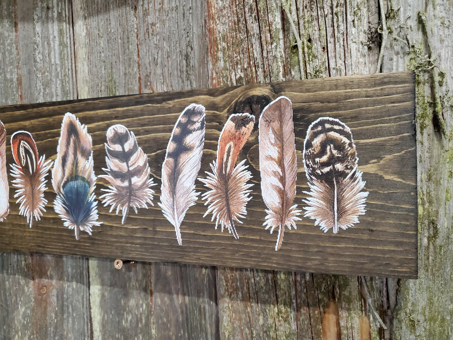 Boho Feathers Wall Sign Colorful Wood Plaque Decor Wall Art Color Wood Print