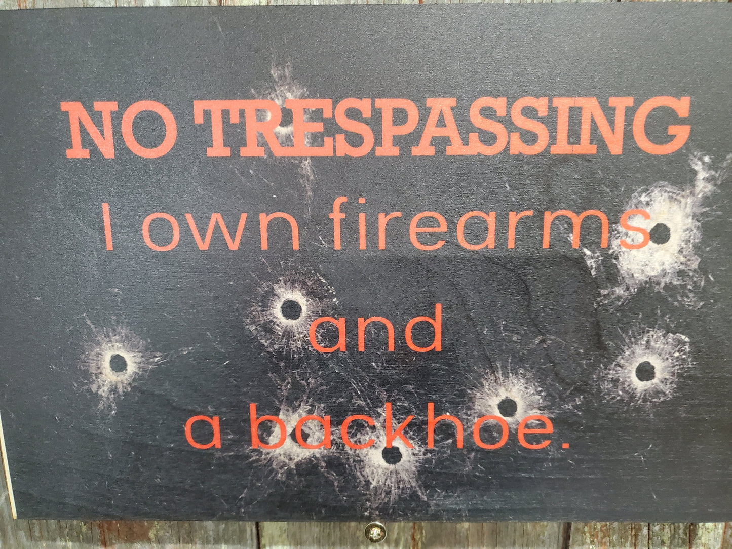 Gun Owner No Trespassing Sign I Own Firearms and a Backhoe Stay Out  Wooden Front Door Entry Way Decor Plaque Wood Print