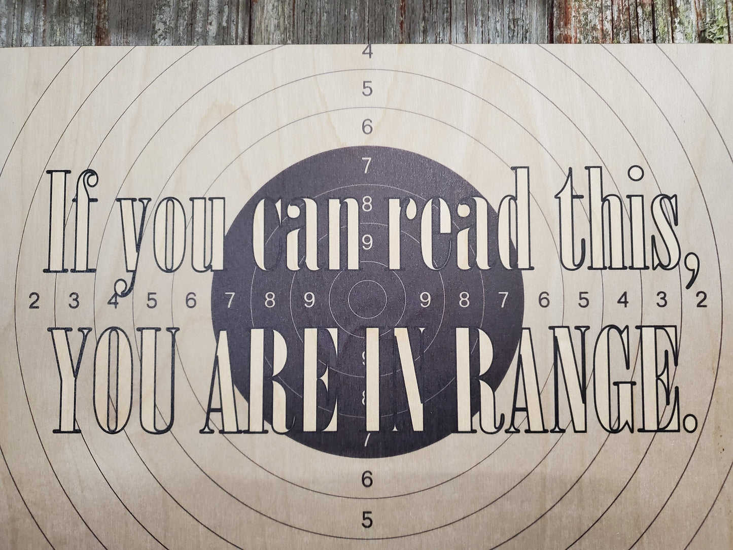 Gun Owner Sign If You Can Read this You Are in Range No Trespassing Sign Stay Out Wooden Front Door Entry Way Decor Plaque Wood Print