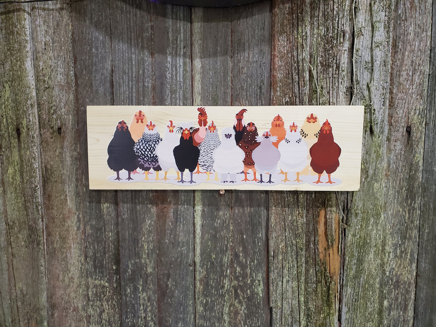 Chicken Sign Flock Rooster Hen Assorted Breeds Colored Wood Print Silkie Rhode Island Red Wyandotte