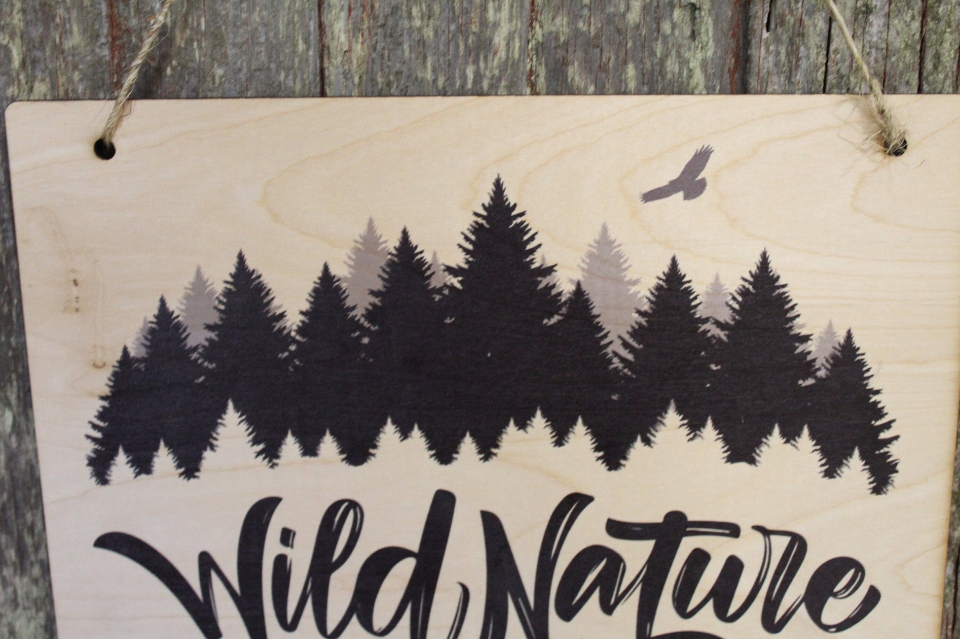 Wilderness Outdoors Open Space Wild Nature Mountain Range Eagle Adventure Sign Rustic Wooden Wall Decor Art Wood Print