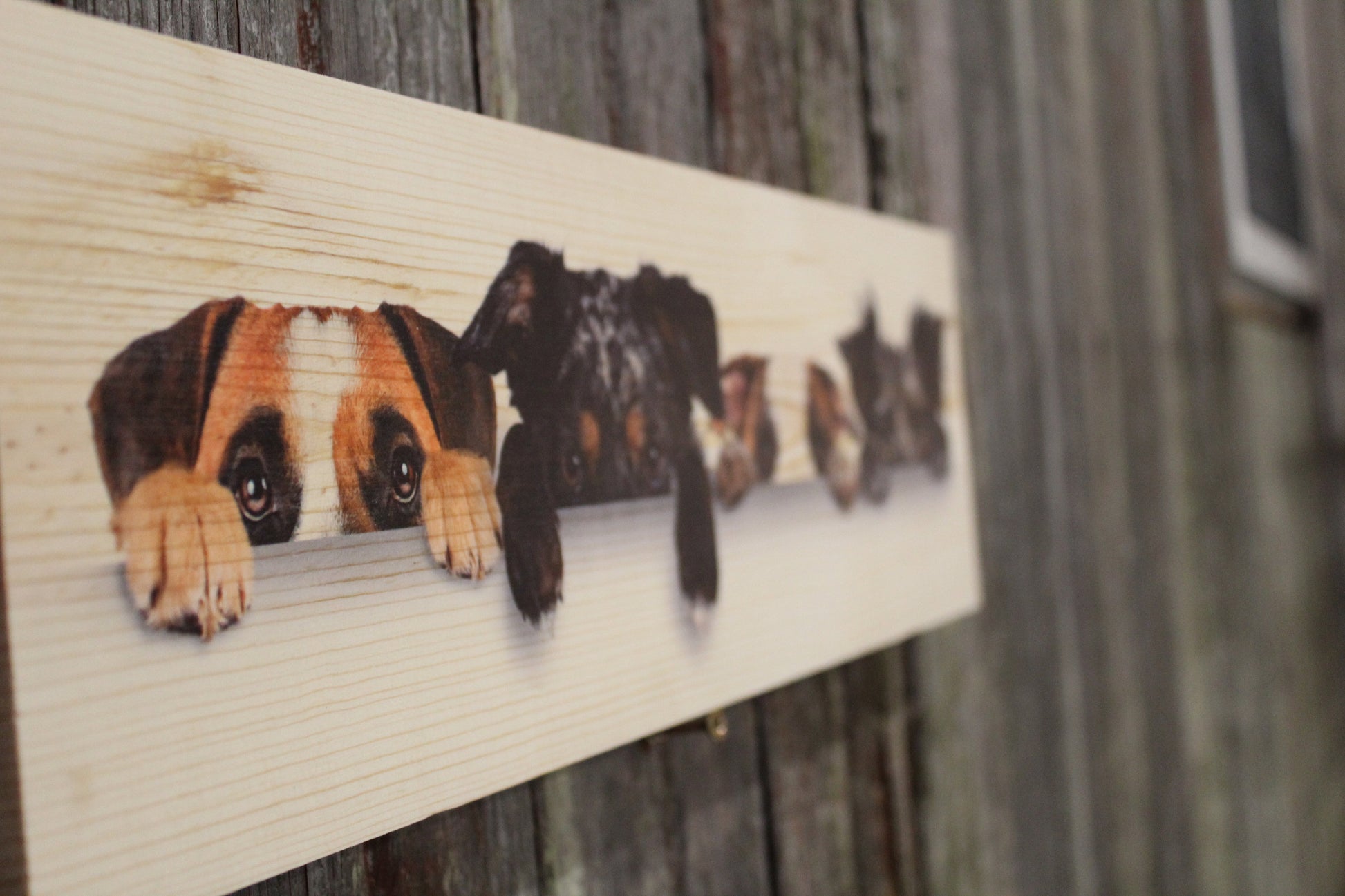 Dogs Wood Sign Faces Peeking Over Boxer Terrier Bull Dog Blue Heeler Puppy Picture Wall Decor Hanging Art