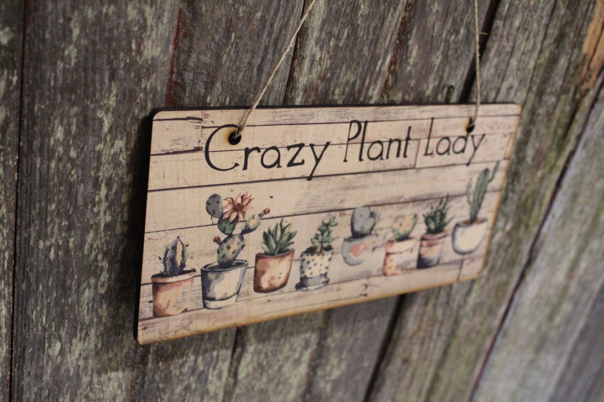Crazy Plant Lady Succulent Sign Wood Hanging Wall Art Watercolor Print Decoration Decor Cactus Plant House Plant Greenery