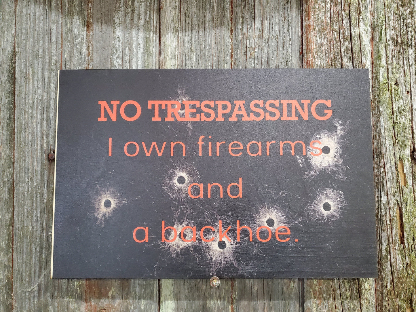 Gun Owner No Trespassing Sign I Own Firearms and a Backhoe Stay Out  Wooden Front Door Entry Way Decor Plaque Wood Print
