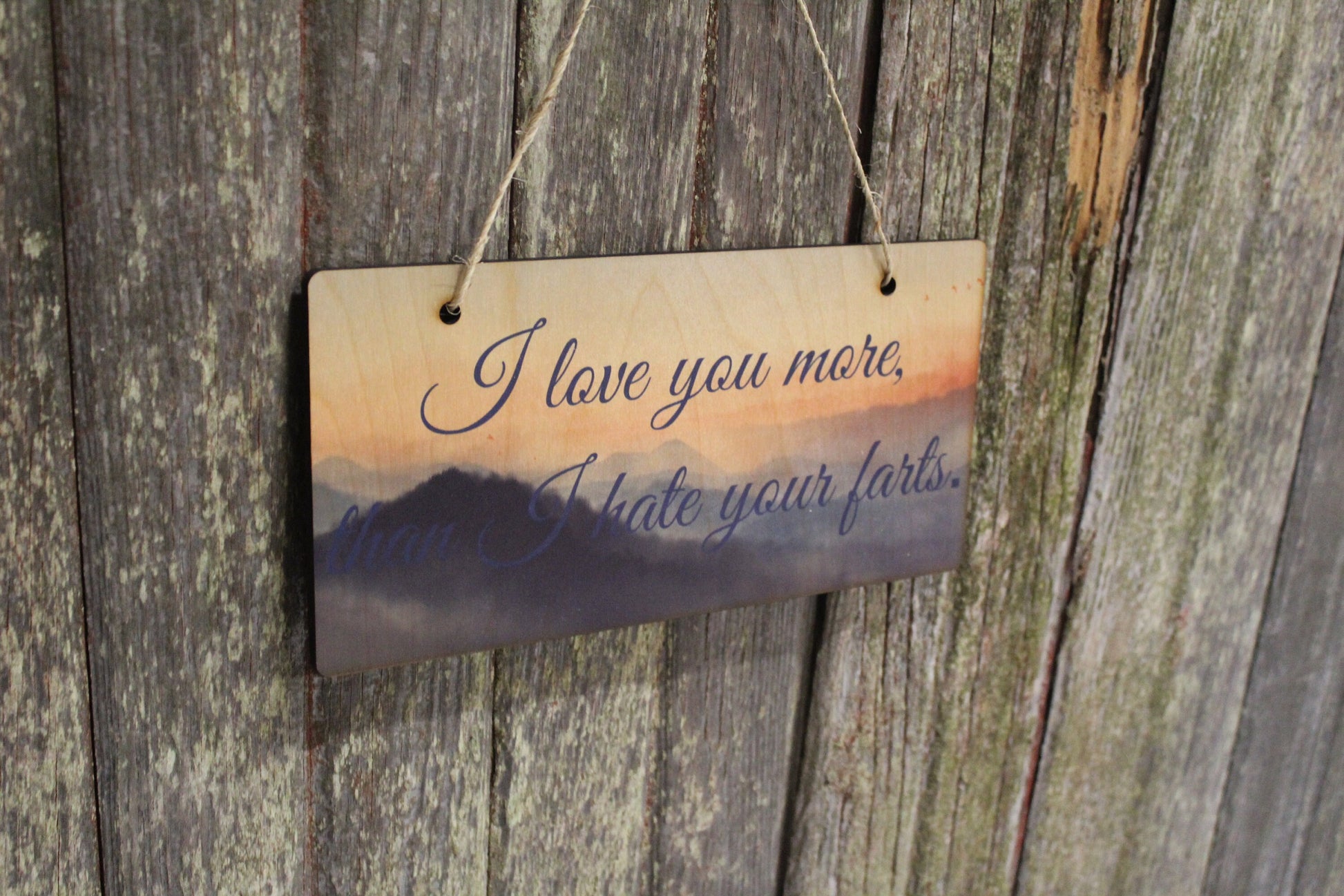 Funny I love you Wood Sign more than I hate your farts Joke Wood Mountain Scene Guy Gift Boyfriend Gift Silly Sunset Goofy