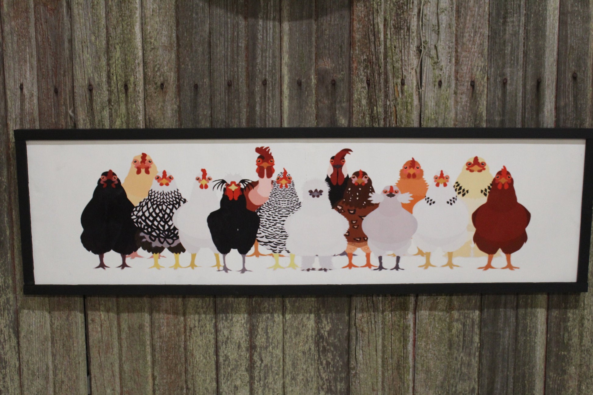 Framed Chicken Sign Large Over Sized Flock Rooster Hen Assorted Breeds Colored Wood Print Silkie Rhode Island Red Wyandotte