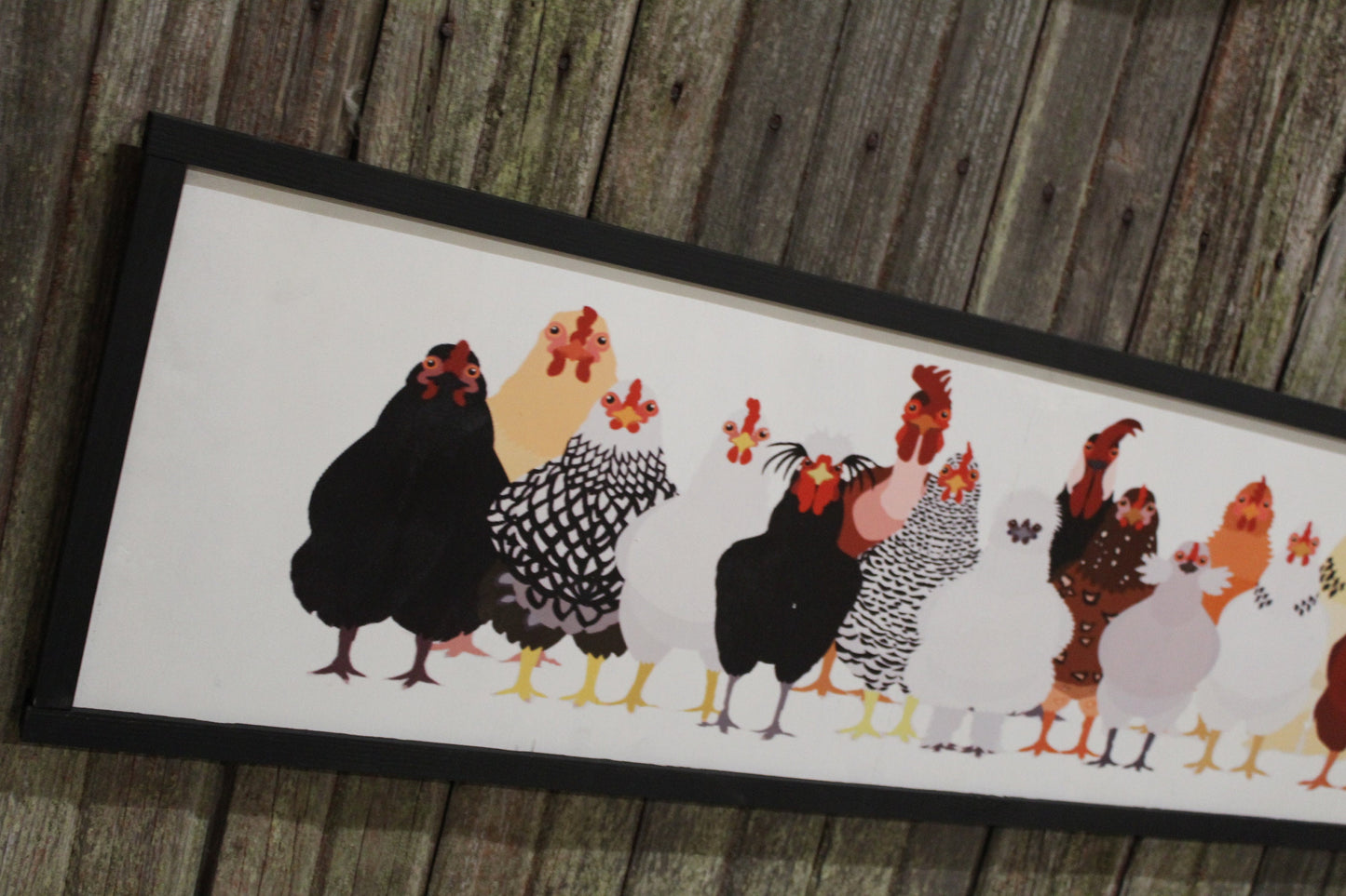 Framed Chicken Sign Large Over Sized Flock Rooster Hen Assorted Breeds Colored Wood Print Silkie Rhode Island Red Wyandotte