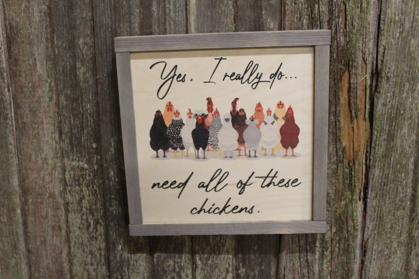 Chicken Wood Sign Yes I Need All These Chickens Silly Gray Framed Print Silkie Rhode Island Red Rooster Wall Art Farmhouse Primitive Rustic