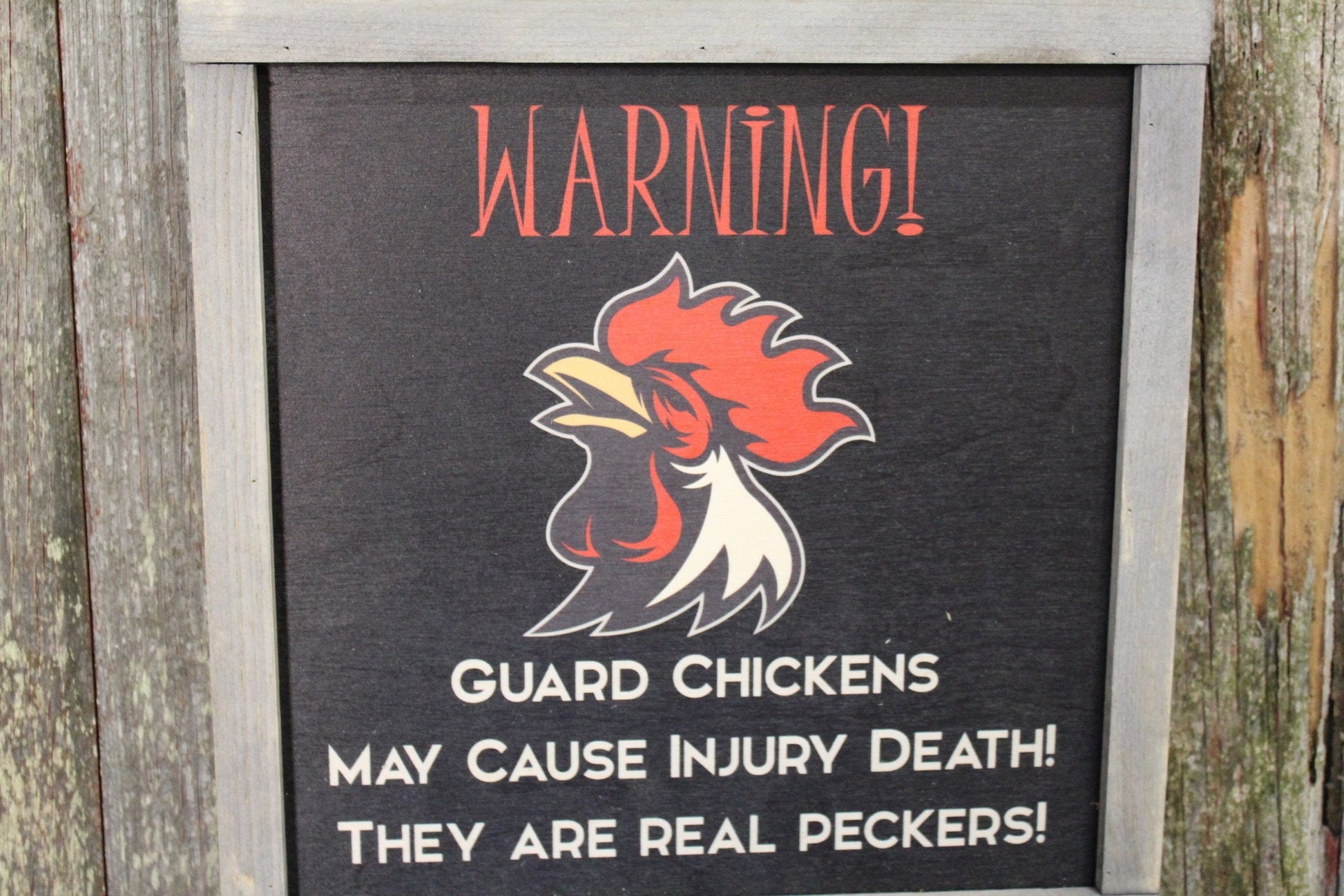 Attack Chicken Sign Wood Warning Rooster Guard Print May Cause Death Wall Art They Are Real Peckers Wall Hanging Farmhouse Rustic Framed