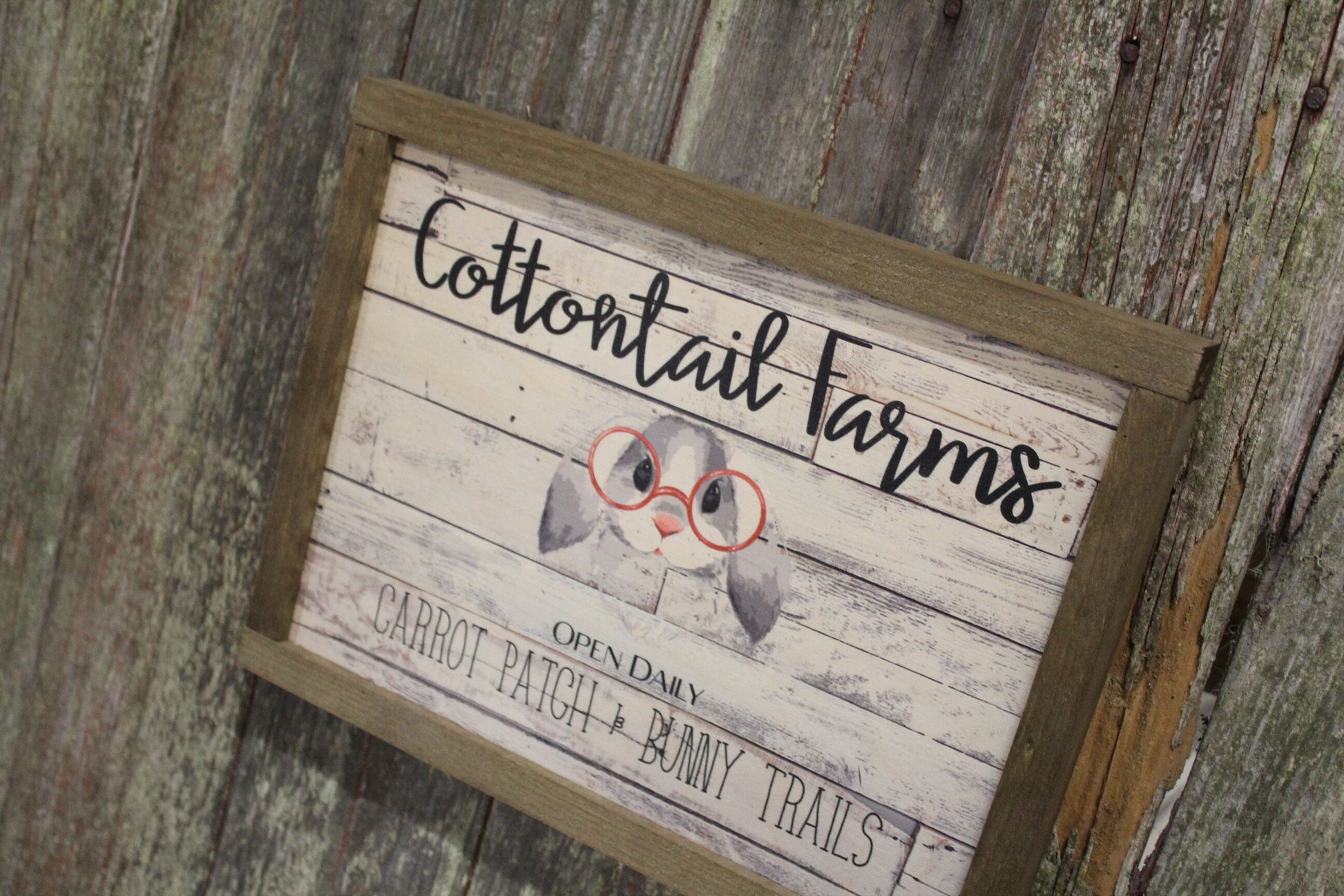 Cottontail Farms Wood Sign Spring Bunny Rabbit Glasses Shiplap Rustic Primitive Wall Art Picture Text Script Open Daily Carrot Patch Trails