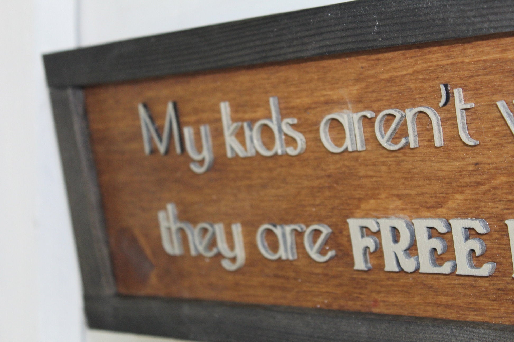 Crazy Kid Wood Sign My Kids Aren't Wild They Are Free Range Raised Text Primitive Sign Rustic Wall Decoration Farm Life Silly Nutty Decor