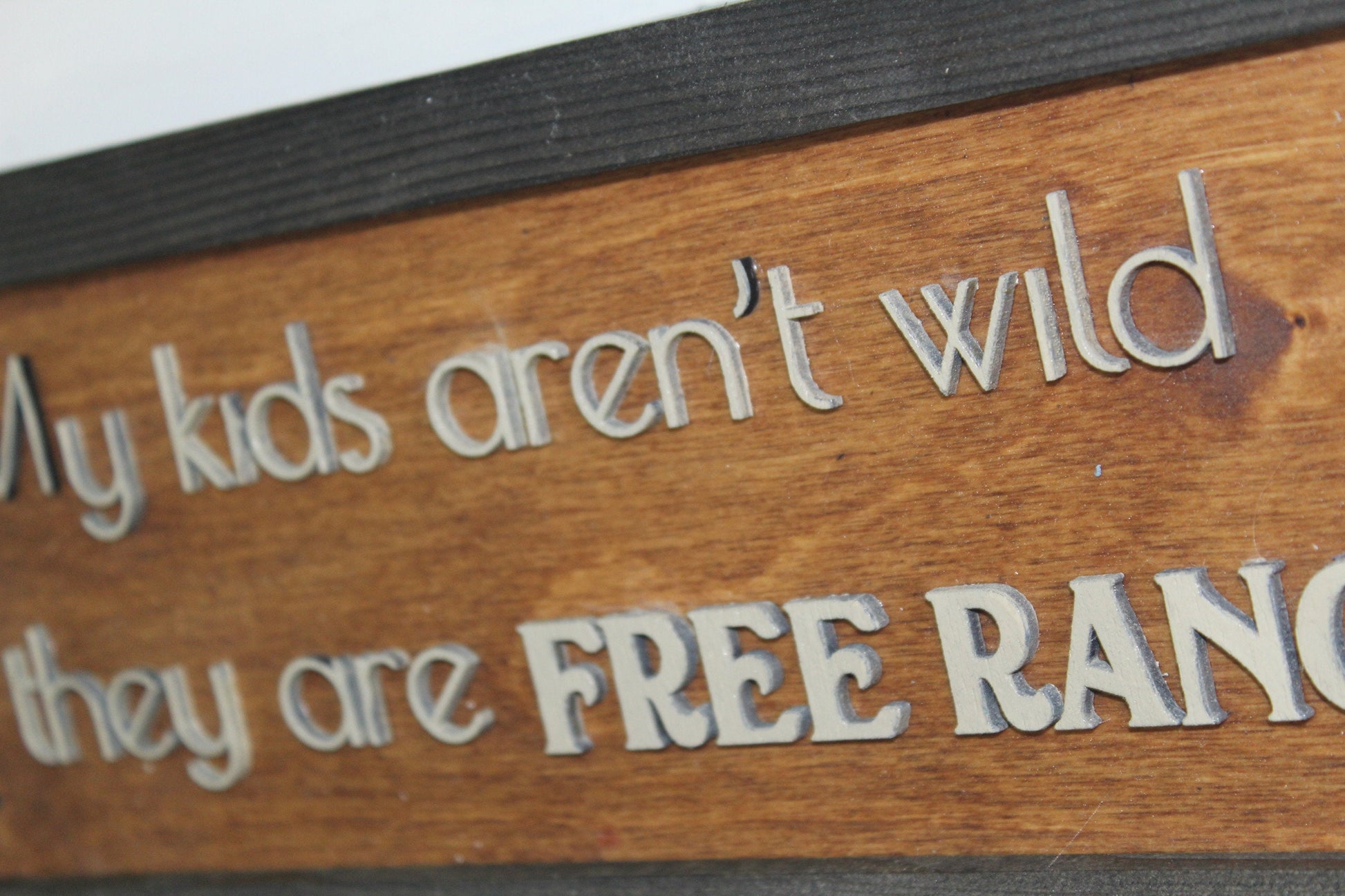 Crazy Kid Wood Sign My Kids Aren't Wild They Are Free Range Raised Text Primitive Sign Rustic Wall Decoration Farm Life Silly Nutty Decor