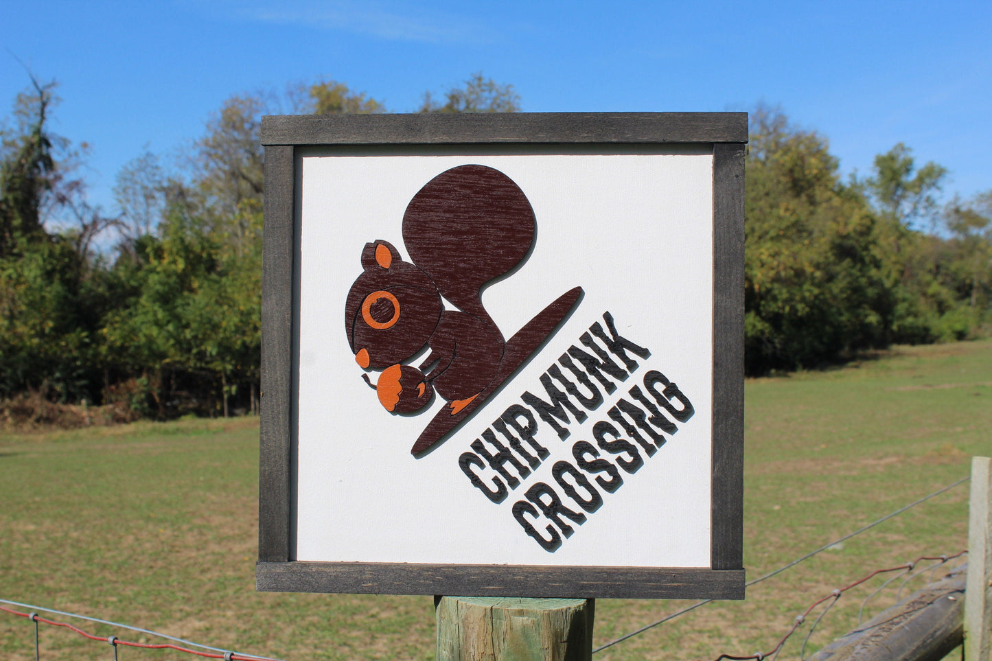 Chipmunk Crossing Fun Fall Autumn Acorn Wood Sign Graphic Black White 3D Text Square Cabin Camping Kids Camp Watch For Tree Furry Cute