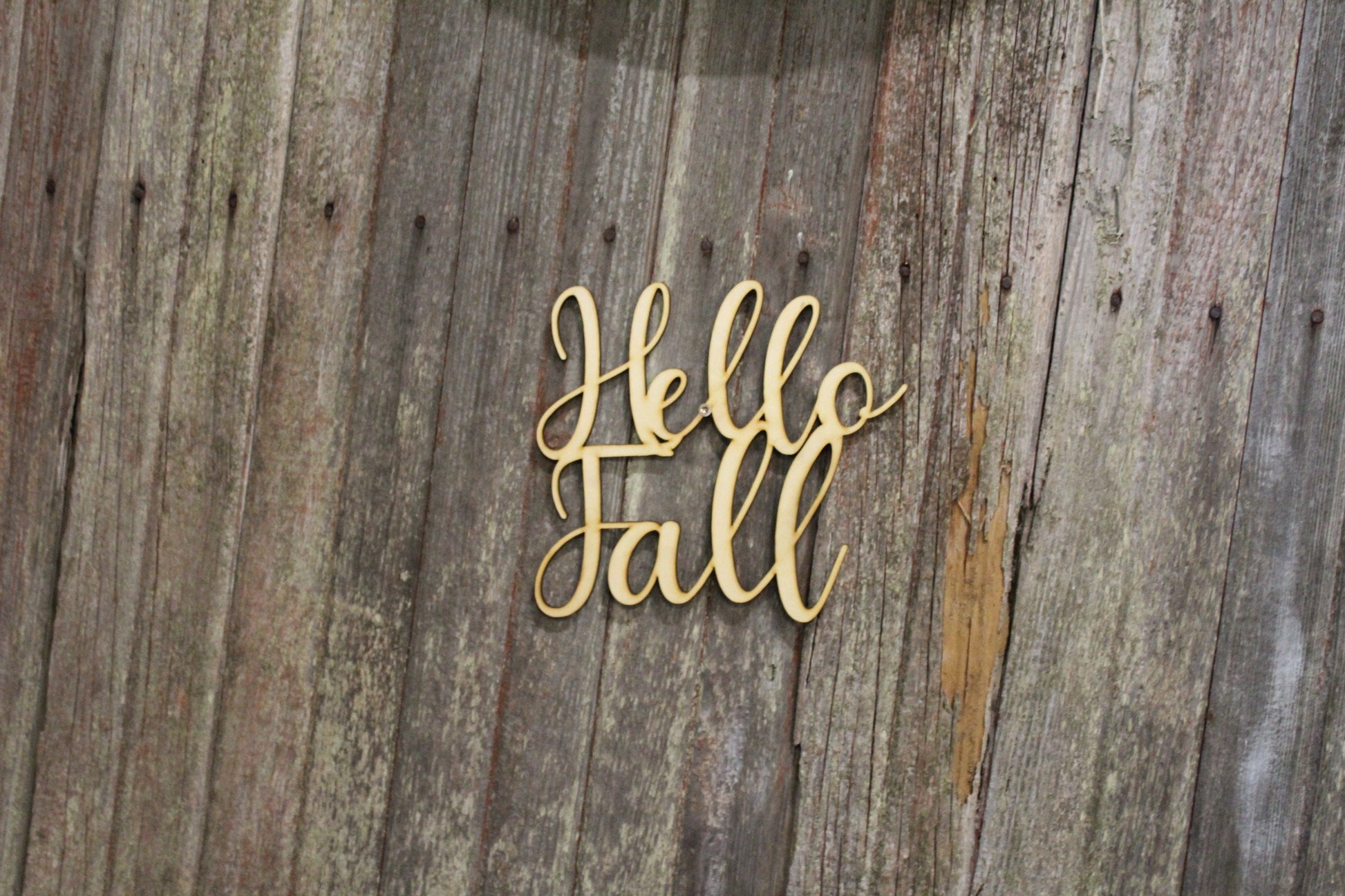 Hello Fall Autumn Natural Laser Cutout DIY Wood Silhouette Craft Decor Birch Cursive Font Wreath Sign Crafter