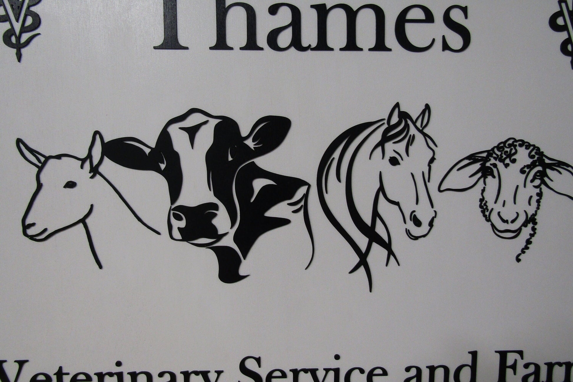 Vet Clinic Small business Animal Livestock Custom Business Sign Rectangle Farm Company Indoor Outdoor Logo Laser Cut Wood Sign