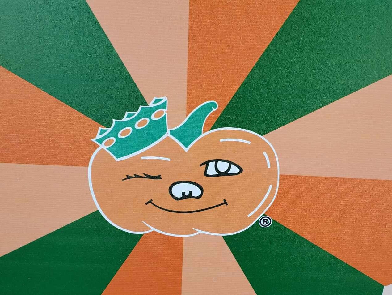 Ohio Winky Pumpkin Heart of it all Small Town Barn Quilt Mascot Farm Decor Orange and Green Whitewash Wooden Wood Hang in Garden Star Flower