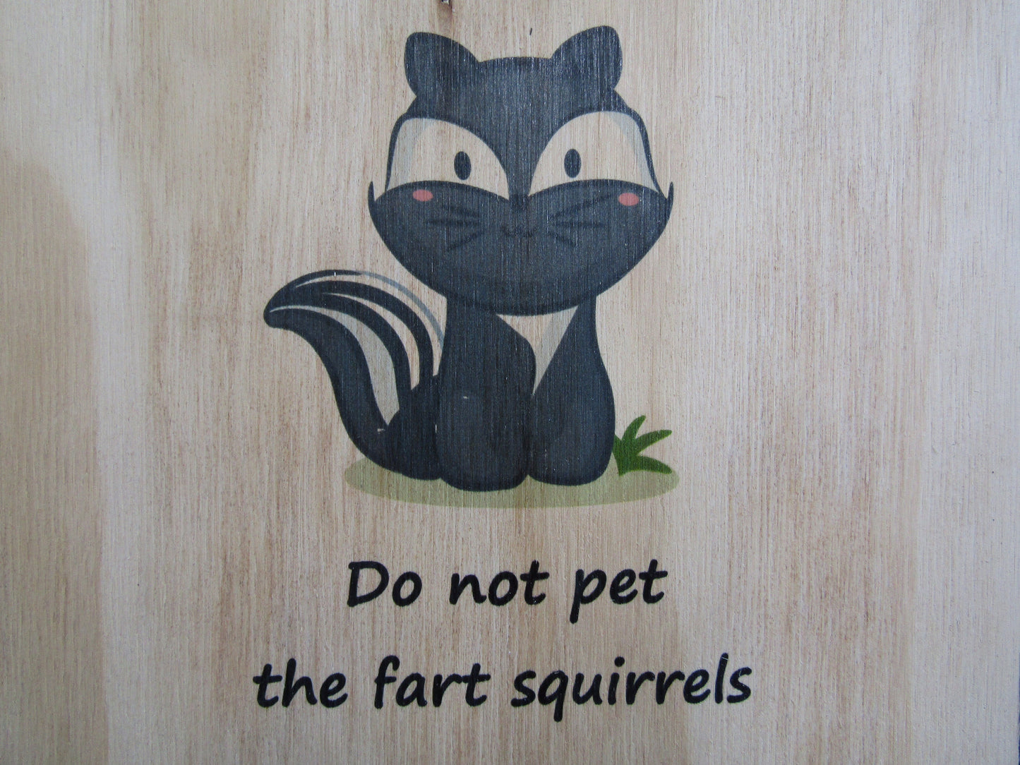 Skunk Fart Squirrell Do Not Pet Cute Cartoon Caution Goofy Humor Wall Decor Art Handmade Unframed Printed In Color Contemporary Joke Decor