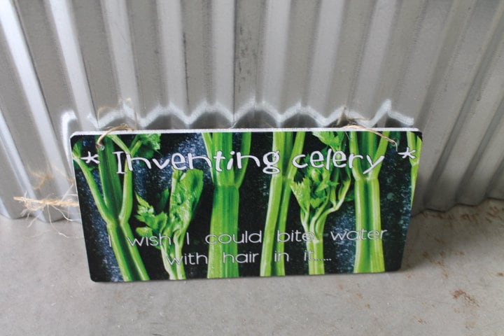 Inventory Celery Water with Hair in it Veggie Vegetables Funny Joke Laugh Cook Kitchen Wooden Sign Wall Decor Art Plaque Wood Print