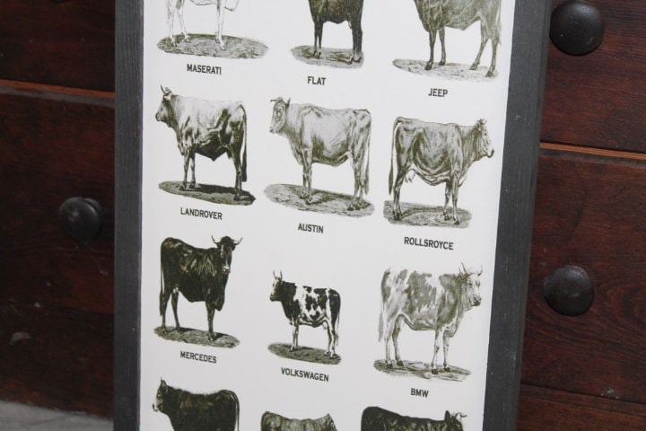 Types of Cows Cow Lover Humor Car Joke Style Body Type Farmhouse Farm Country Livestock Print Black and White Framed Home Decor Rustic