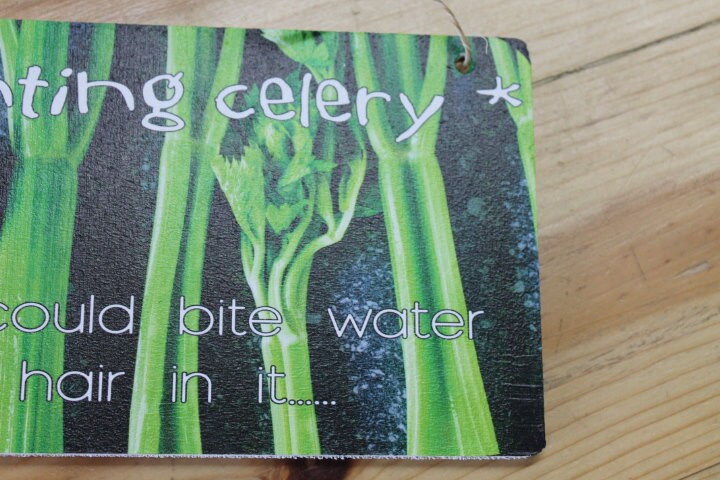 Inventory Celery Water with Hair in it Veggie Vegetables Funny Joke Laugh Cook Kitchen Wooden Sign Wall Decor Art Plaque Wood Print
