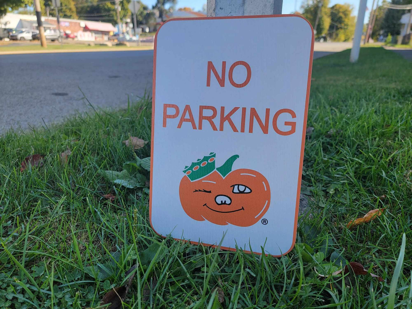 No Parking Winky Circleville Ohio 43113 Pumpkin Show Jacko lantern Street Sign PVC Printed Fun Rectangle